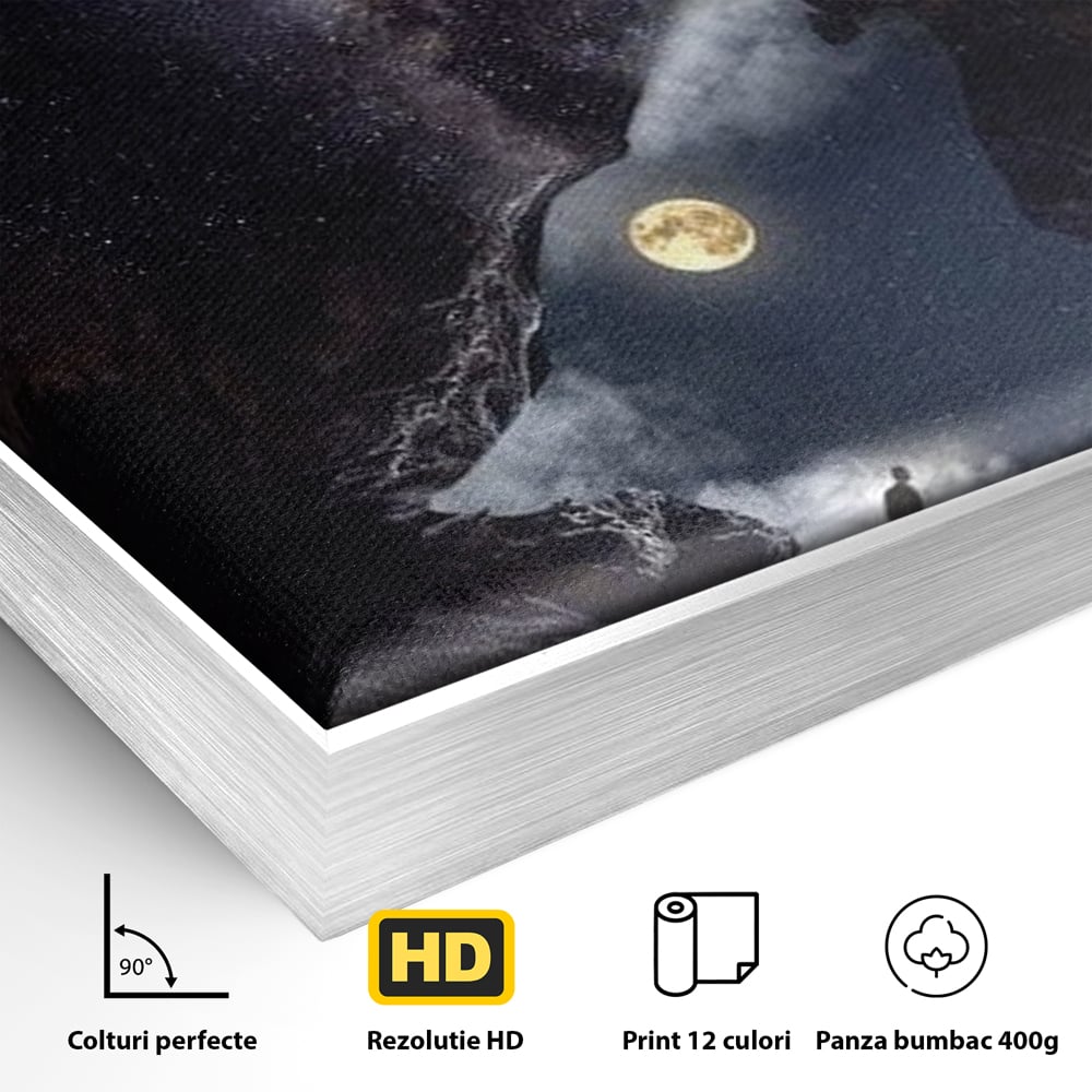 Detaliu al suprafetei: tablou canvas cu silueta de lup, in rama de aluminiu argintiu